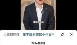 董宇辉爆料央视新闻视频,一场震撼人心的直播幕后故事