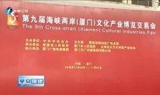 最新时政爆料视频大全,视频大全深度解析